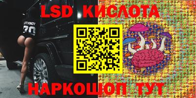 мяу мяу мука Партизанск