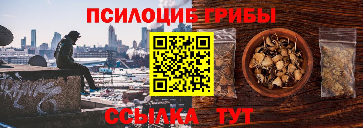 Псилоцибиновые грибы Psilocybine cubensis Соликамск