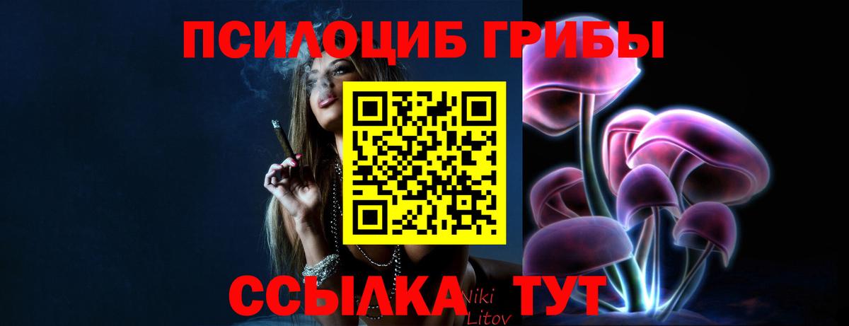 Соликамск  где купить наркотик  Вход с VPN  Галлюциногенные грибы мицелий 